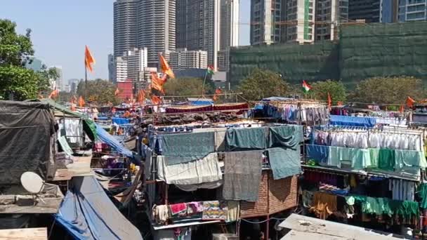 Mumbai Varoşlarda Çamaşır Yıkıyor Dhobi Ghat Mumbai 2024 — Stok video