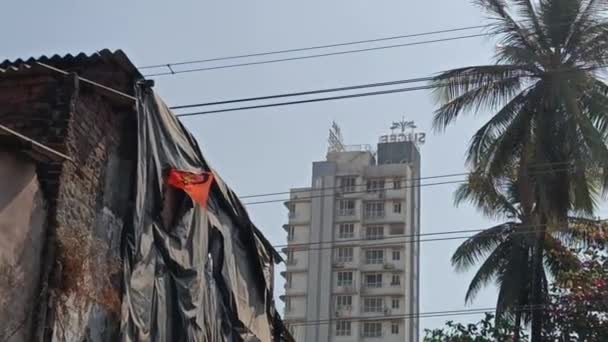 Dharavi Slum Område Mumbai – Stock-video