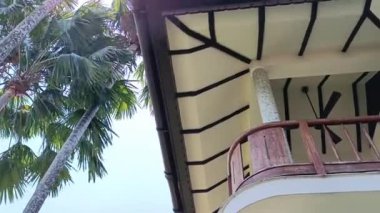 Hindistan 'da Kochi gölünde villaları olan lüks bir otel.