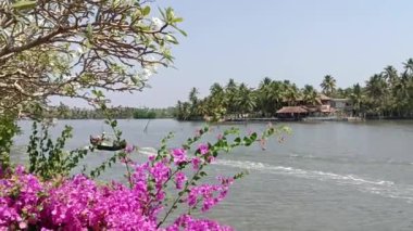 Hindistan 'da Kochi gölünde villaları olan lüks bir otel.