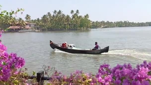 Seorang Nelayan Berenang Melalui Kanal Kochi — Stok Video