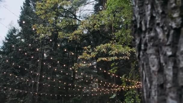Garland Light Bulbs Background Tree Crown — Stock Video