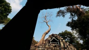 Yıkılmış tapınaklar. Angkor Wat . Antik uygarlıkların tarihi tapınakları yıkıldı..