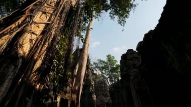 Yıkılmış tapınaklar. Angkor Wat . Antik uygarlıkların tarihi tapınakları yıkıldı..
