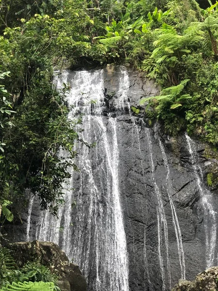 Cascada Selva Tropical Puerto Ricos —  Fotos de Stock