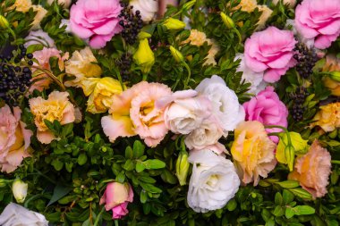 closeup rose flowers for wedding background