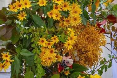 Kapalı turuncu sonbahar çiçekleri arka planı