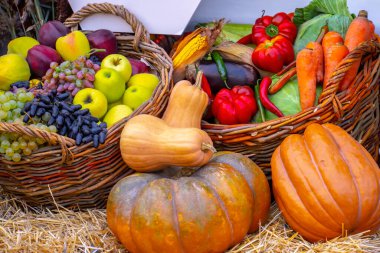 Bahçede taze çiğ havuç, pancar kökü, balkabağı ve patates hasadı. Organik sonbahar sebzeleri topluyorum.