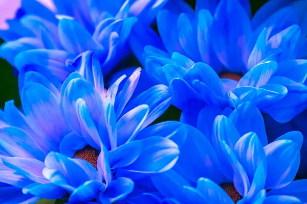 Солнечный Счастливый Фон Фоне Множества Голубых Теней Крупным Планом — стоковое фото