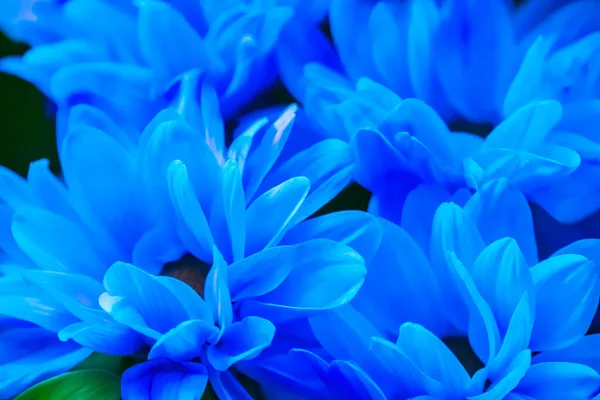 Солнечный Счастливый Фон Фоне Множества Голубых Теней Крупным Планом — стоковое фото