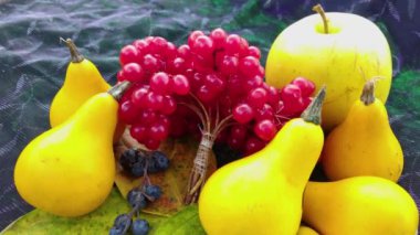 Renkli yapraklı balkabağı ve viburnum meyveleri. Balkabağı, sebze, meyve ve böğürtlen hasadı konsepti.
