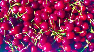 Kiraz. Taze organik böğürtlen Meyve arkaplanı