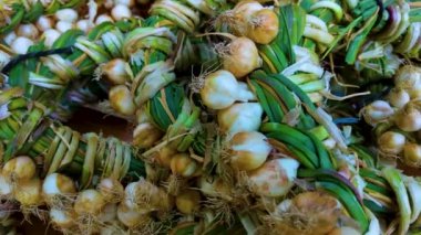 Sarımsaklı çelenkleri yakın çekim. Zengin hasat. Tarım ve tarım.