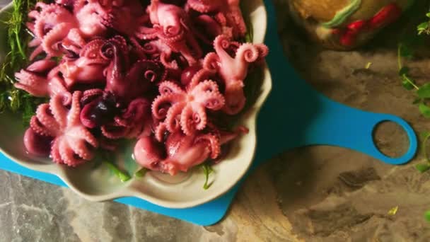 Little Octopuses Plate Table Seafood — 비디오