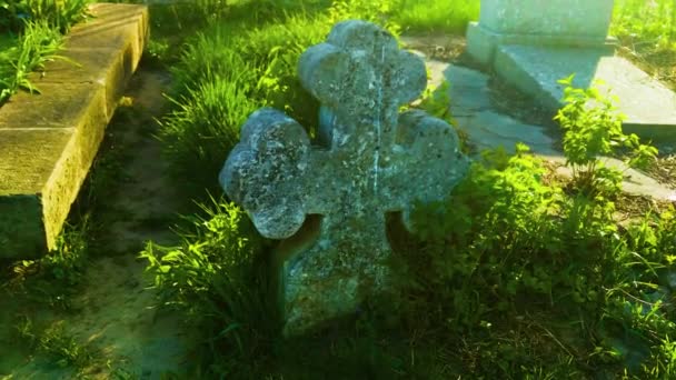 Spring Cemetery Sunny Day — Video Stock