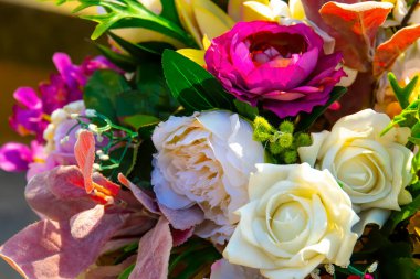 Sunny Day 'de suni çiçekler