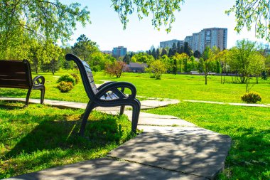 Eski ağaçlar ve patikalarla dolu yaz parkında bankta