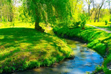 Yeşil dalları, ağaçları, çalıları, otları, altın güneşi, sakin suyu, arka planda mavi bulutlu gökyüzünü ve ormanı olan güzel bir nehir vadisinde manzara
