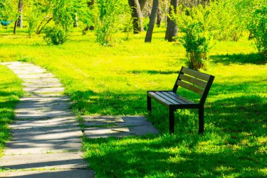 Eski ağaçlar ve patikalarla dolu yaz parkında bankta