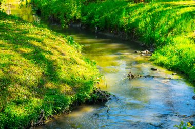 Yeşil dalları, ağaçları, çalıları, otları, altın güneşi, sakin suyu, arka planda mavi bulutlu gökyüzünü ve ormanı olan güzel bir nehir vadisinde manzara