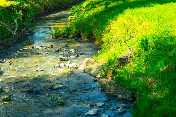 Malowniczy Widok Piękne Źródło Lśniącej Dolinie Rzeki Zielonymi Gałęziami Drzewami — Zdjęcie stockowe