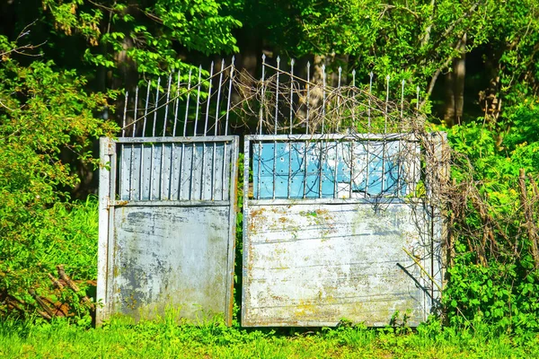 Doğal Arka Planda Terk Edilmiş Bir Evden Güzel Bir Kapı — Stok fotoğraf