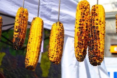 Demir bir tavada ızgara sebzeler, yukarıdan görüş.