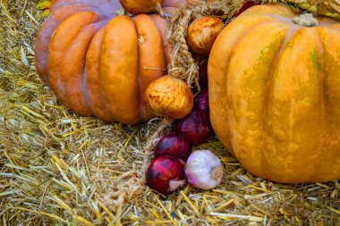 Şükran Günü ve Sonbahar dekorasyon konsepti. Sonbahar yaprakları ve balkabağından yapılmış. Çeşitli kabak çeşitleri 