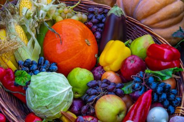 Bahçede taze çiğ havuç, pancar kökü, balkabağı ve patates hasadı. Organik sonbahar sebzeleri topluyorum.