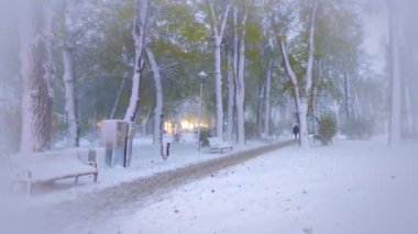 Kar yağışı olan kış tarlası, kar altındaki bank ve ağaçların manzarası. Mavi ton.