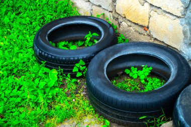 Bahçedeki eski lastikler. Eski lastiklerden yapılmış saksılar..