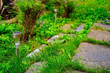 Çiçeklerin Gece Manzarası Enerji tasarruflu Güneş enerjili çok renkli fener avlusunda aydınlatılıyor. Açık Hava Işıklandırma ve Aydınlatma TemasıName.