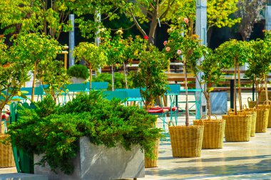 Güneşli bir günde bahar şehir parkı