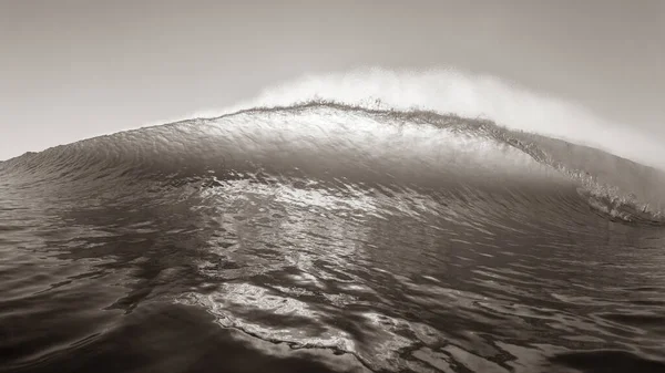Wave Ocean Hav Simning Front Närbild Möte Krasch Pitching Bakgrundsbelyst — Stockfoto