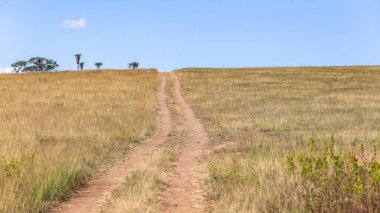 Kırsal bölge arazi aracı, çimen tepesi üzerinden mavi gökyüzü uzaklık perspektifine doğru yol alıyor soyut keşif konsepti manzarası fotoğrafı.