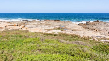 Ocean rocky beach coast green plants with rock shelf ledge into calm sea blue sea water towards horizon landscape.