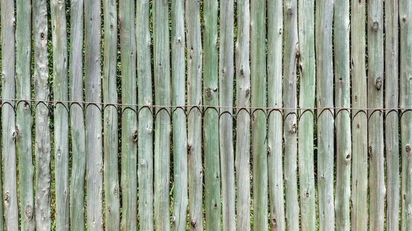 Vida Selvagem Arbusto Madeira Pólos Esgrima Amarrado Juntos Livre Animal — Fotografia de Stock