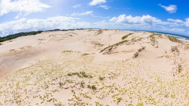 Plaj kıyısı tropikal kum arazisi ekilmemiş bitkiler kum tepeleri manzaralı mavi yaz manzarası.
