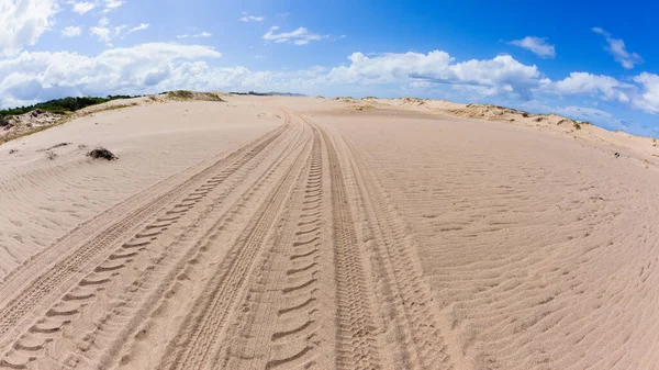Spiaggia Costa Sabbia Tropicale Trattore Pneumatici Tracce Texture Dune Paesaggio — Foto Stock