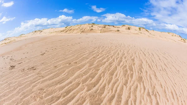 Spiaggia Costa Tropicale Zone Umide Sabbia Bassa Marea Texture Dune — Foto Stock