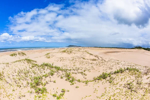 Strandlinie Tropischer Sand Feuchtgebiet Unkultivierte Pflanzen Dünen Malerische Sommerblaue Landschaft — Stockfoto