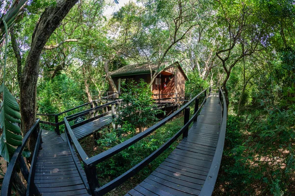 Wilderness Wildlife Bush Safari Camping Cottage Raised Walking Path Platforms — Stock Photo, Image