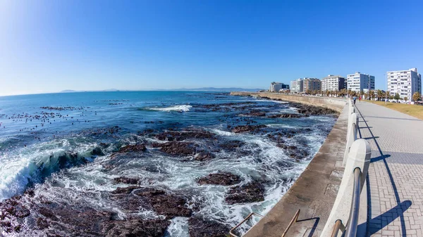 Cidade Cabo Sea Point Oceano Atlântico Litoral Promenade Apartamentos Paisagem Fotos De Bancos De Imagens