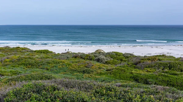 Beach Coastline Vegetation Overlooking Scenic Atlantic Ocean Waves Surfing Surfers — Stock Photo, Image
