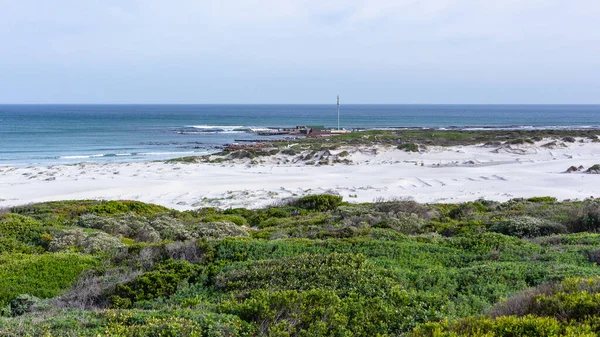 Deniz Kıyısı Bitki Örtüsü Manzaralı Atlantik Okyanusu Kerevit Fabrikası Witsand — Stok fotoğraf