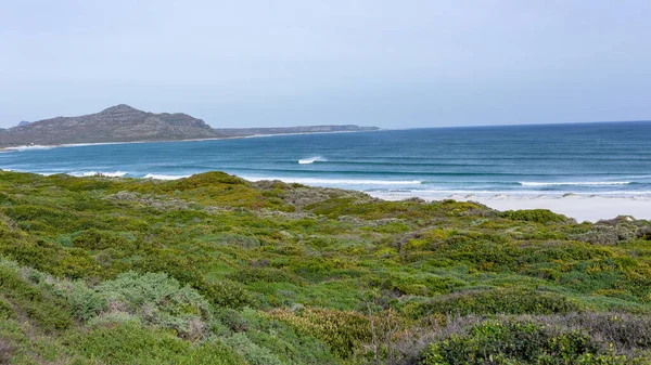 Beach Coastline Vegetation Overlooking Scenic Atlantic Ocean Waves Landscape Scarborough — Stock Photo, Image