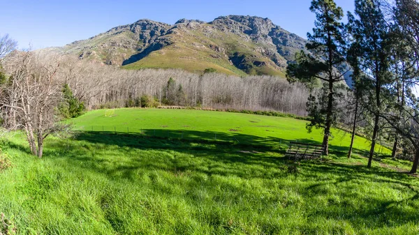Strada Campagna Nella Valle Delle Montagne Vicino Verde Lussureggiante Campo — Foto Stock