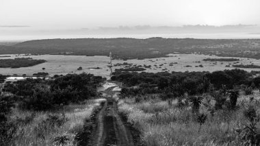 Vahşi doğa vadisi, vahşi yaşam otlakları boyunca uzanan toprak yola bakıyor..