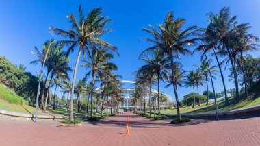Tropikal Palmiye Ağaçları Futbol Stadyumu. Yürüyen tuğla yol. Manzaralı bir spor manzarası..