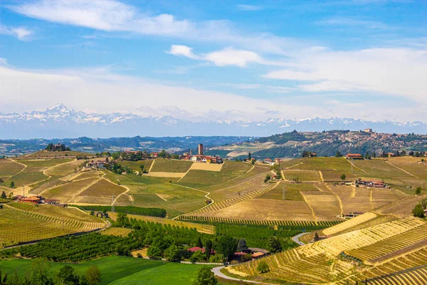 Colline delle Langhe, Italia, sotto il sole di primavera